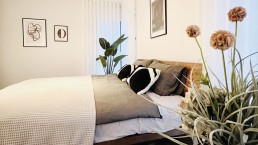 Interior-Design-Schlafzimmer-Frankfurt